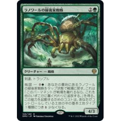 画像1: 【JPN】ラノワールの緑後家蜘蛛/Llanowar Greenwidow[MTG_DMU_169R]