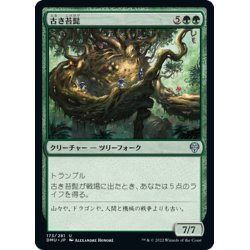 画像1: 【JPN】古き苔髭/Mossbeard Ancient[MTG_DMU_173U]