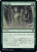 【JPN】荒野の偵察 /Scout the Wilderness [MTG_DMU_176C]