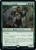 【JPN】シルバーバックの古老/Silverback Elder[MTG_DMU_177M]