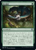 【JPN】尾の強打/Tail Swipe[MTG_DMU_182U]