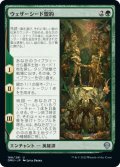 【JPN】ウェザーシード盟約/The Weatherseed Treaty[MTG_DMU_188U]