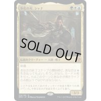 【JPN】浄化の刃、シャナ/Shanna, Purifying Blade[MTG_DMU_218M]