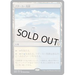 画像1: 【JPN】アダーカー荒原/Adarkar Wastes[MTG_DMU_243R]