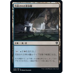 画像1: 【JPN】汚染された帯水層/Contaminated Aquifer[MTG_DMU_245C]