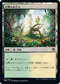 【JPN】光輝の木立ち/Radiant Grove[MTG_DMU_253C]