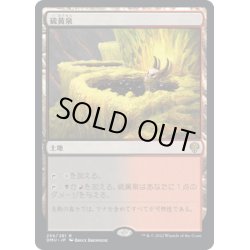 画像1: 【JPN】硫黄泉/Sulfurous Springs[MTG_DMU_256R]