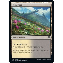 画像1: 【JPN】日向の湿地/Sunlit Marsh[MTG_DMU_257C]