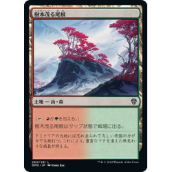 画像1: 【JPN】樹木茂る尾根/Wooded Ridgeline[MTG_DMU_260C]