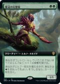 【JPN】葉冠の幻想家/Leaf-Crowned Visionary[MTG_DMU_414R]