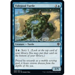 画像1: 【ENG】潮溜まりの亀/Tidepool Turtle[MTG_DMU_069C]