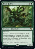 【ENG】茨のハイドラ/Briar Hydra[MTG_DMU_286R]