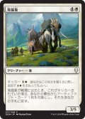 【JPN】発掘象/Excavation Elephant[MTG_DOM_017C]