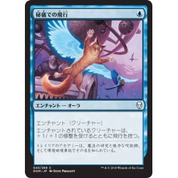 画像1: 【JPN】秘儀での飛行/Arcane Flight[MTG_DOM_043C]