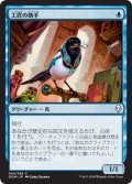 【JPN】工匠の助手/Artificer's Assistant[MTG_DOM_044C]