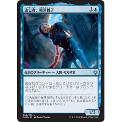 画像1: 【JPN】逃亡者、梅澤哲子/Tetsuko Umezawa, Fugitive[MTG_DOM_069U]