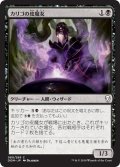 【JPN】カリゴの皮魔女/Caligo Skin-Witch[MTG_DOM_080C]