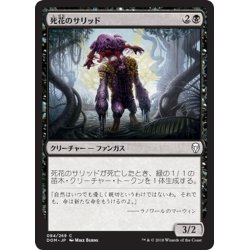 画像1: 【JPN】死花のサリッド/Deathbloom Thallid[MTG_DOM_084C]