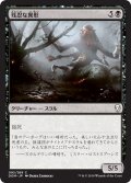 【JPN】残忍な異形/Feral Abomination[MTG_DOM_092C]