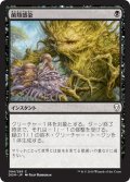 【JPN】菌類感染/Fungal Infection[MTG_DOM_094C]