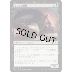 画像1: 【JPN】ネズミの群棲/Rat Colony[MTG_DOM_101C]