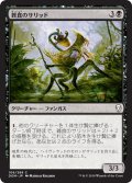 【JPN】雑食のサリッド/Thallid Omnivore[MTG_DOM_106C]