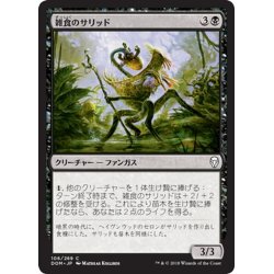 画像1: 【JPN】雑食のサリッド/Thallid Omnivore[MTG_DOM_106C]