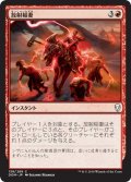 【JPN】放射稲妻/Radiating Lightning[MTG_DOM_138C]