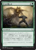 【JPN】古えの憎しみ/Ancient Animus[MTG_DOM_154C]