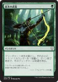 【JPN】高木の武装/Arbor Armament[MTG_DOM_155C]