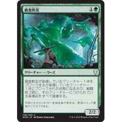 画像1: 【JPN】腐食軟泥/Corrosive Ooze[MTG_DOM_158C]