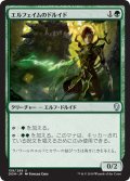 【JPN】エルフェイムのドルイド/Elfhame Druid[MTG_DOM_159U]