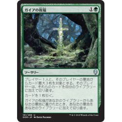 画像1: 【JPN】ガイアの祝福/Gaea's Blessing[MTG_DOM_161U]