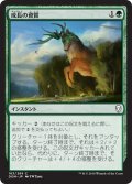 【JPN】成長の資質/Gift of Growth[MTG_DOM_163C]