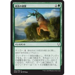 画像1: 【JPN】成長の資質/Gift of Growth[MTG_DOM_163C]