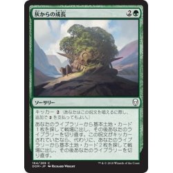 画像1: 【JPN】灰からの成長/Grow from the Ashes[MTG_DOM_164C]