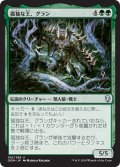 【JPN】孤独な王、グラン/Grunn, the Lonely King[MTG_DOM_165U]