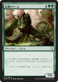 【JPN】始源のワーム/Primordial Wurm[MTG_DOM_177C]