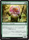 【JPN】胞子冠サリッド/Sporecrown Thallid[MTG_DOM_181U]