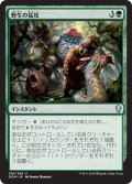 【JPN】野生の猛攻/Wild Onslaught[MTG_DOM_188U]