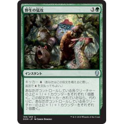 画像1: 【JPN】野生の猛攻/Wild Onslaught[MTG_DOM_188U]