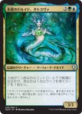 【JPN】水底のドルイド、タトヨヴァ/Tatyova, Benthic Druid[MTG_DOM_206U]