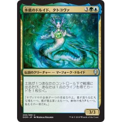 画像1: 【JPN】水底のドルイド、タトヨヴァ/Tatyova, Benthic Druid[MTG_DOM_206U]