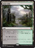 【JPN】森林の墓地/Woodland Cemetery[MTG_DOM_248R]