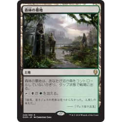 画像1: 【JPN】森林の墓地/Woodland Cemetery[MTG_DOM_248R]