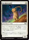 【JPN】取り憑かれた山羊/Possessed Goat [MTG_DSK_0025_C]