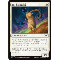 画像1: 【JPN】取り憑かれた山羊/Possessed Goat [MTG_DSK_0025_C]