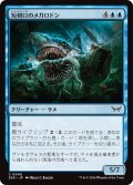 【JPN】短剣口のメガロドン/Daggermaw Megalodon [MTG_DSK_0048_C]