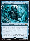 【JPN】フラッドピットの大主/Overlord of the Floodpits [MTG_DSK_0068_M]