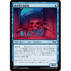 画像1: 【JPN】掻き回す頭蓋蟹/Scrabbling Skullcrab [MTG_DSK_0071_U]